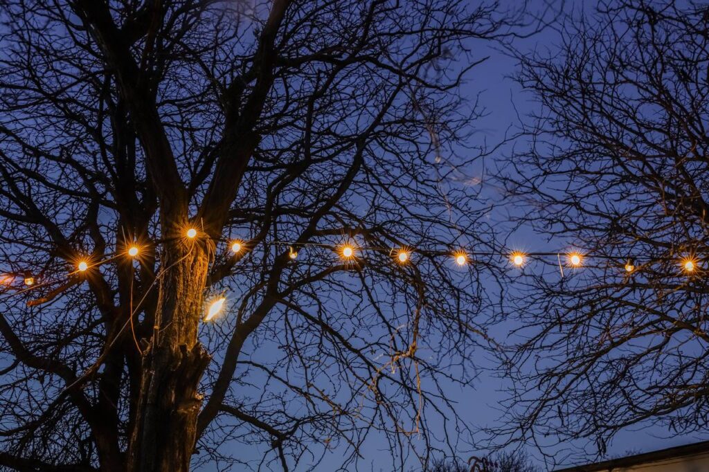 Аллея славы