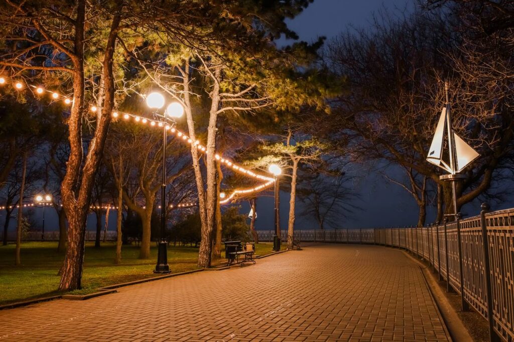 Деревья бухты